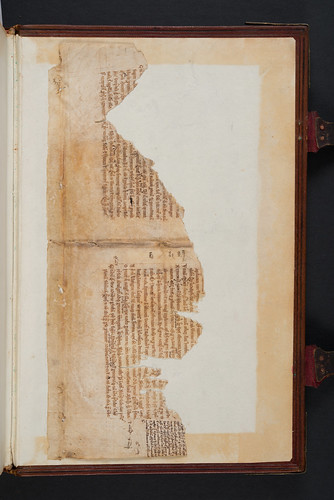 Manuscript fragment in Firmicus Maternus, Julius: Mathesis (De nativitatibus libri VIII)