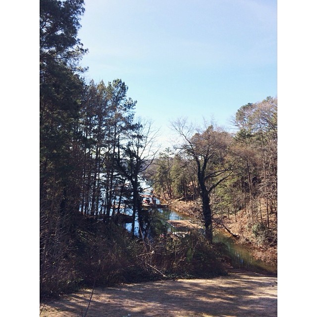 The view from the backyard of the #lakehouse we are staying at.  #pictapgo_app #familyvacation