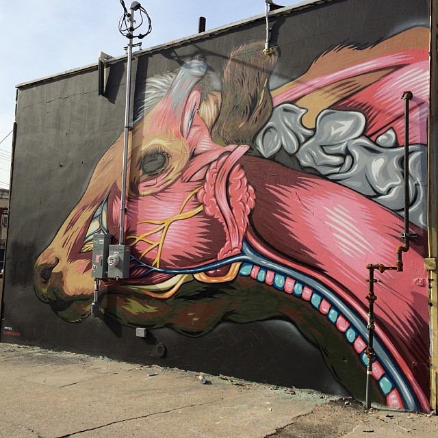 Cow anatomy lesson on Troutman Street #streetart