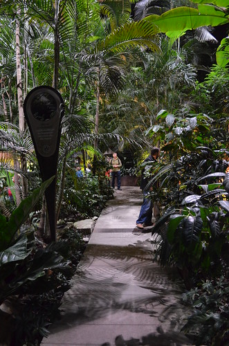 Biosphaere Potsdam jungle trail