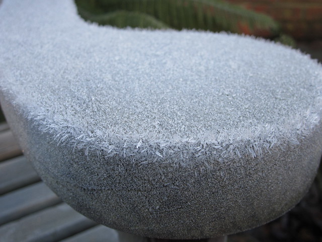 January 2014 frosty morning (8)