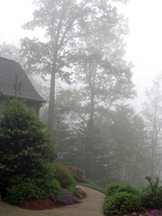 Fog 04-23-2011