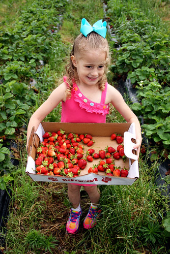Auttie_Big-crate-of-strawberries