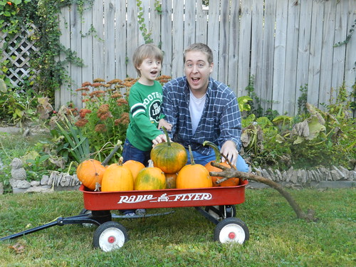 Picking Pumpkins 2013