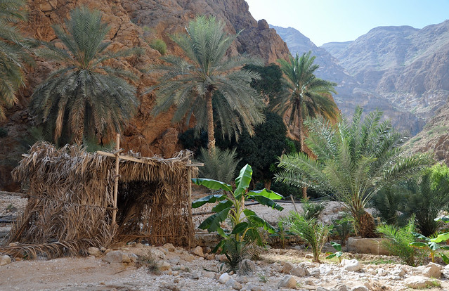Wadi Shab (25)