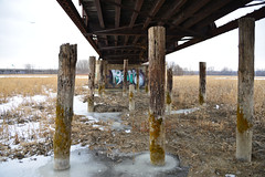 Old Cedar Bridge in winter