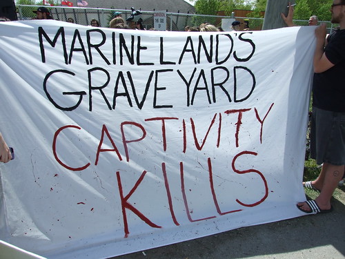 Marineland Animal Defense Demo - marineland graveyard: captivity kills