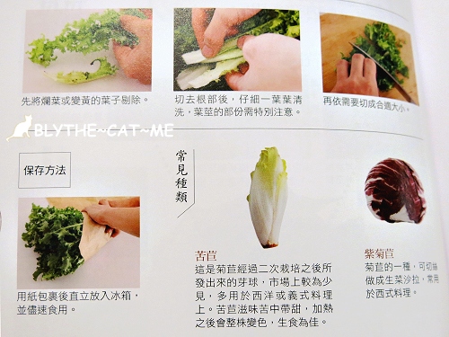 蔬菜百科 (17)
