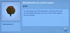 Rhododenron by Land's Capers