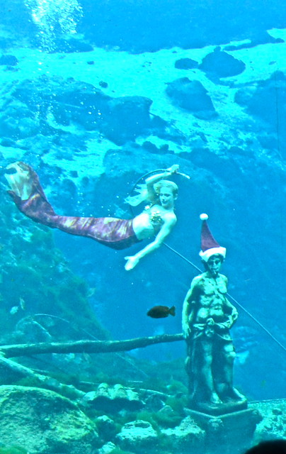 little mermaid at weeki wachee mermaids show 