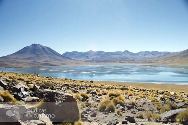 Lagunas Altiplanicas - Atacama 10