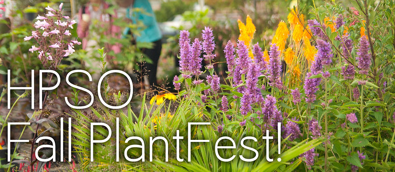plantfest banner