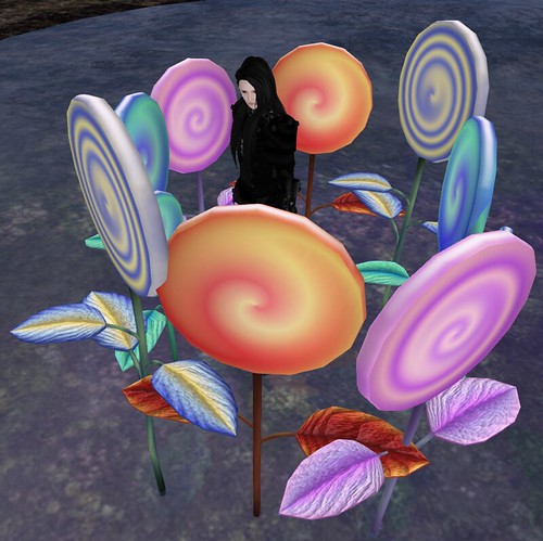 Bear, dressed all in black, stands on the slightly-reflective water inside of a ring of giant lollipop flowers.