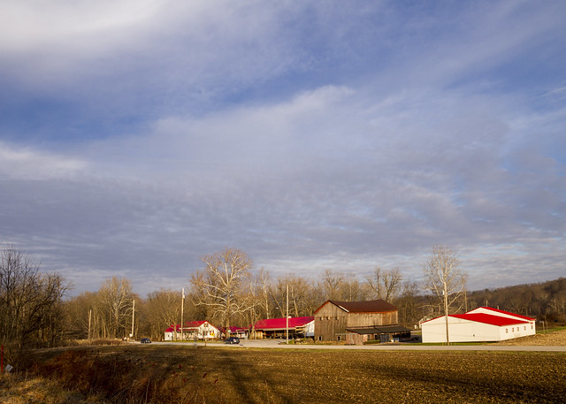 Szalay's Farm in Winter