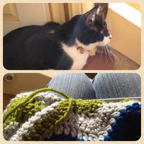 Crochet and cats on the front steps on a Saturday afternoon