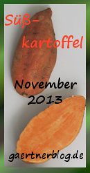 Garten-Koch-Event November 2013: Süßkartoffel [30.11.2013]