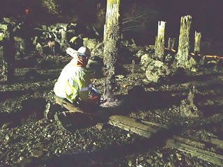 Cutting down old pilings