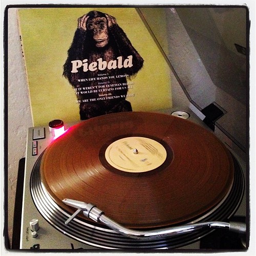#piebald #vinylparty #nowspinning #vinyligclub #photographicplaylist #todaysoundslikethis  #recordstoreday @srcvinyl by Big Gay Dragon