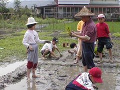 慈心中小學學生必須到田裡實踐農耕，7年級還要學堆肥。（圖片來源：慈心中小學部落格）