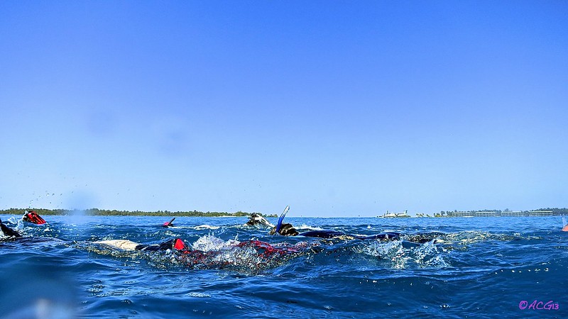 7 días de crucero buceando en  los mejores puntos del pais. 7 días inmejorables - ¡Maldivian Dream! (35)