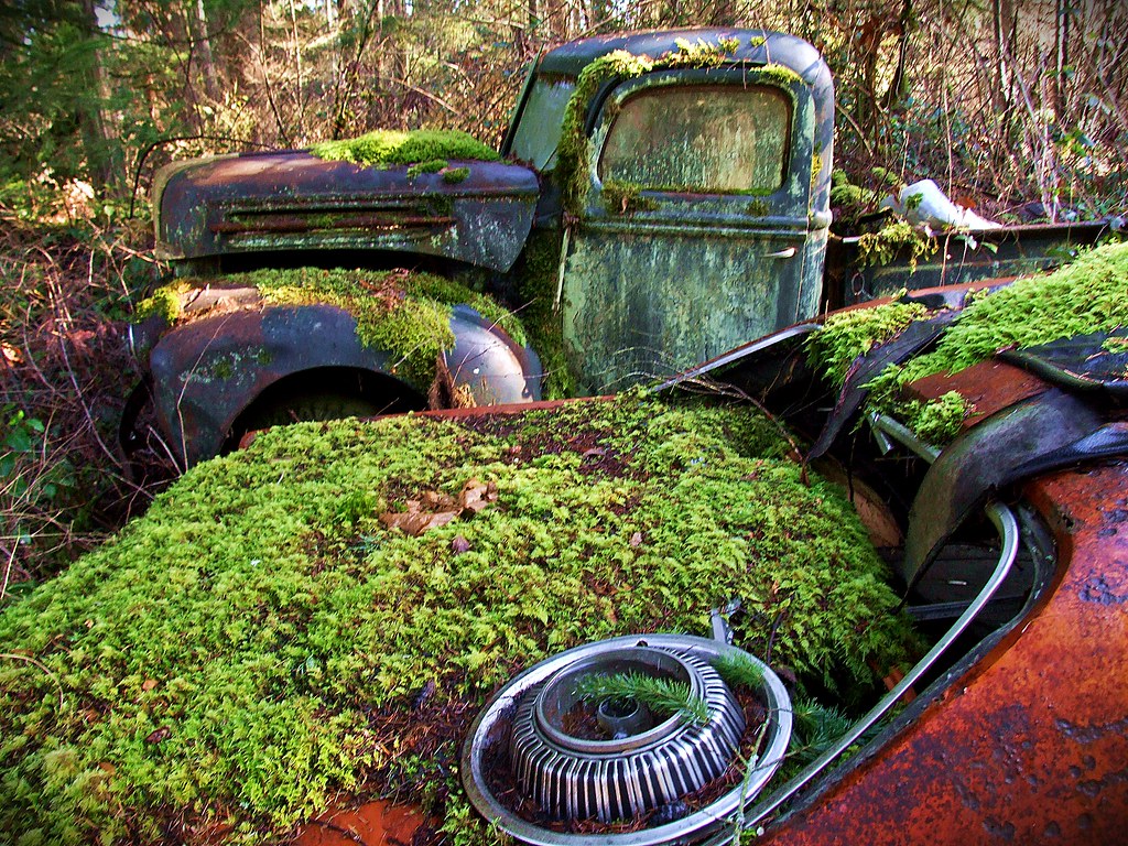 Заброшенная автомобильная свалка Ford Pickup - Trust Salvage - Auburn WA
