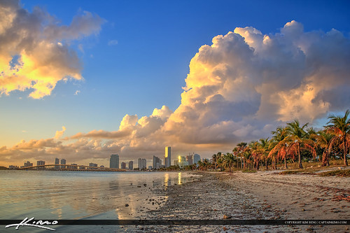 Miami Skyline from Rickenbacker Park Key Biscayne Florida by Captain Kimo