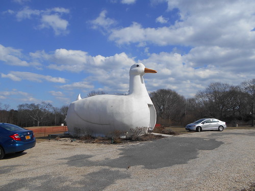 Big Duck (1)