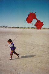 My kites