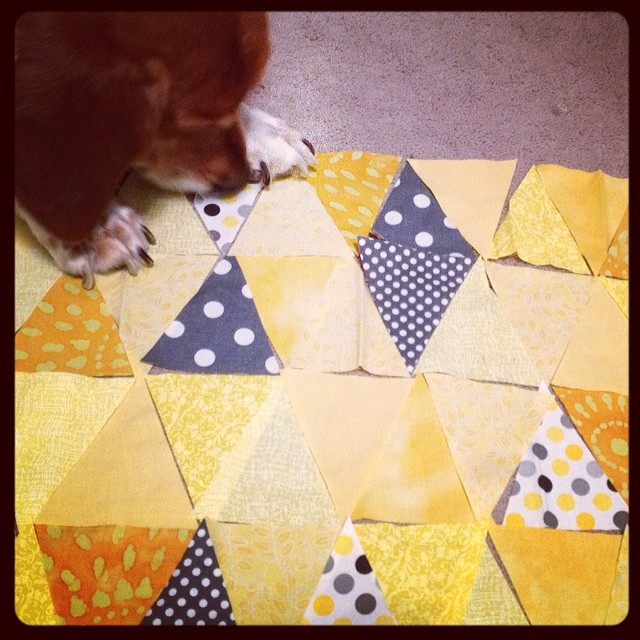 Beau isn't sure about this layout... #yearofmaking