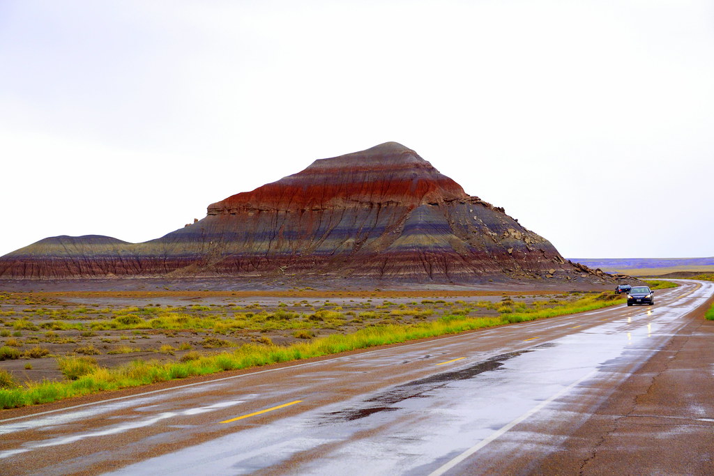 Petrified Forest National Park----Petrified Forest