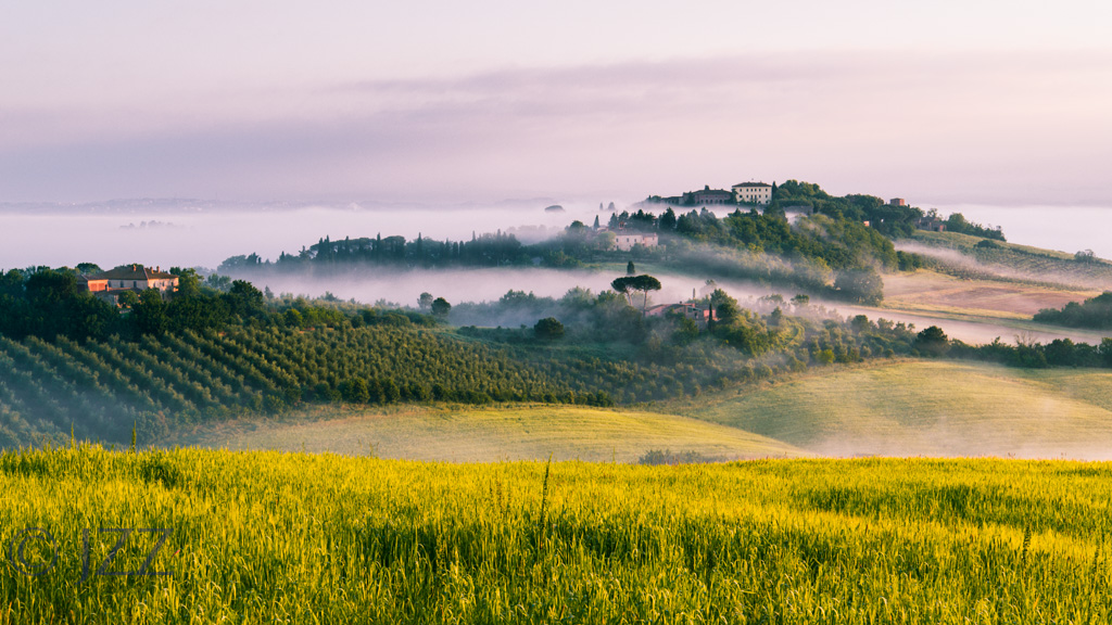 A foggy morning in Tuscany