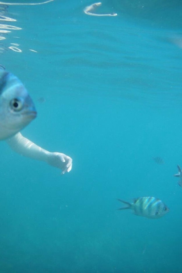 The perfectly timed one-armed fish picture:
