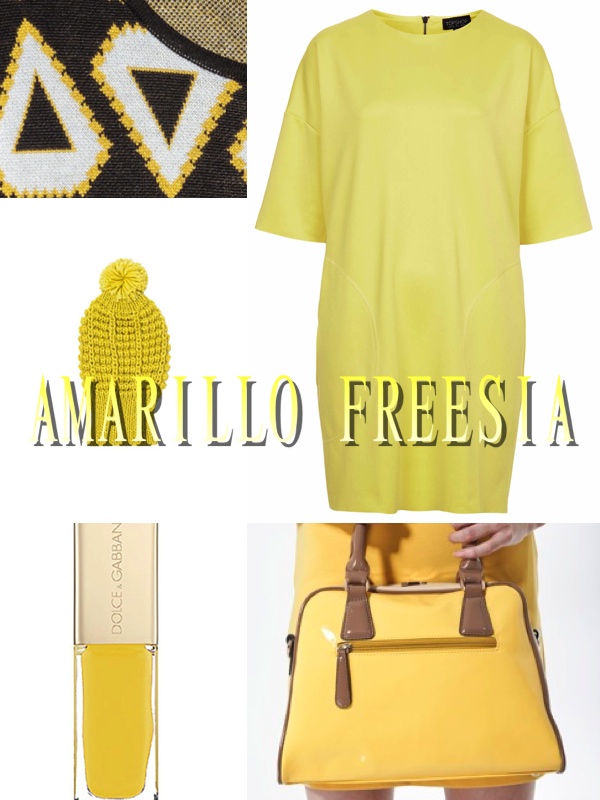 amarillo freesia