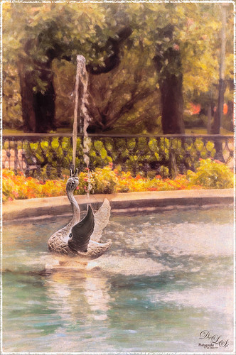 Image of a Swan Fountain in Forsyth Park in Savannah, Georgia