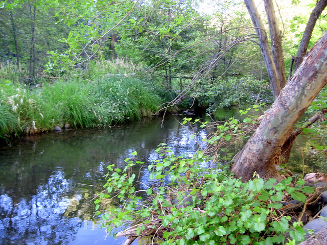Oak Creek in Sedona 2-20130616