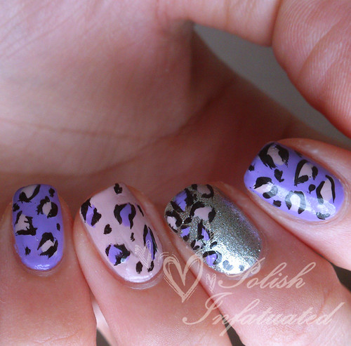 purple and pink leopard