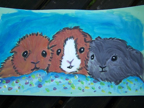 three guinea pigs by Emilyannamarie