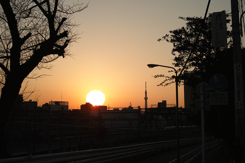 The morningsun, Tokyo Sky Tree and Shinkansen
