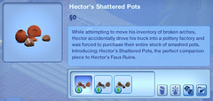 Hectro's Shattered Pots