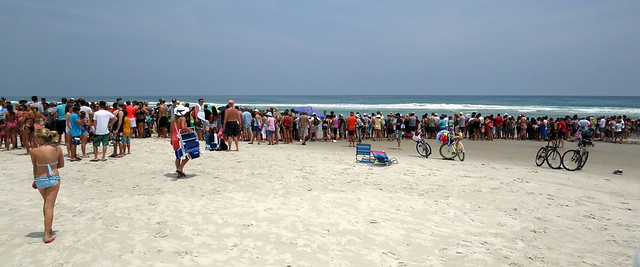 Sea Turtle Release crowd