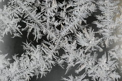 Frost on Windows and Water