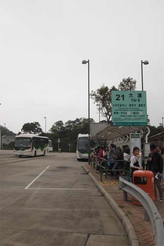 taking the bus to Tai O