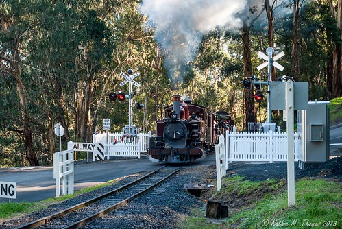 Puffing Billy at Selby Crossing