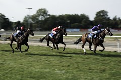 Horse racing pictures