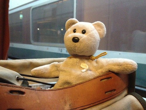 Little Pink Bear on the train