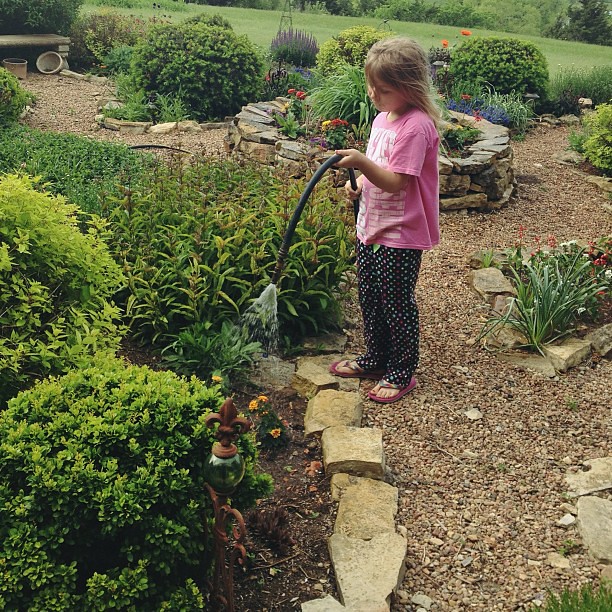 Watering Grammy's garden in our PJs. #kansas #garden #water