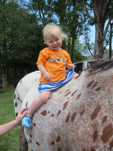 Riding a horse named Scout