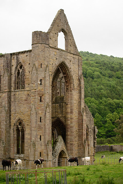 Back of the Abbey