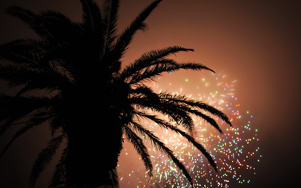 Bentenjima Fireworks - Sparkle Palm