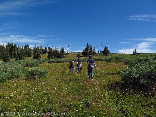Having left the trail, several of my hiking companions ascend the meadows toward the rim of Amphitheatre Peak, Flat Tops Wilderness Area, White River National Forest, Colorado